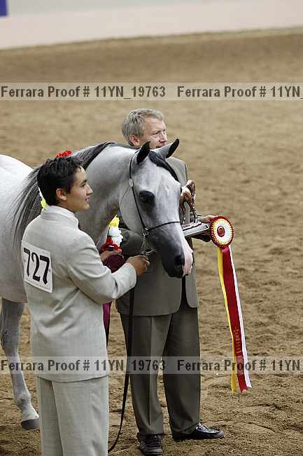 Proof 11yn_19763
