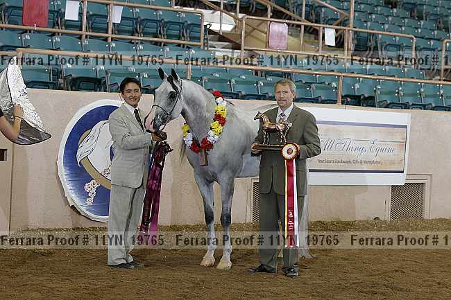 Proof 11yn_19765