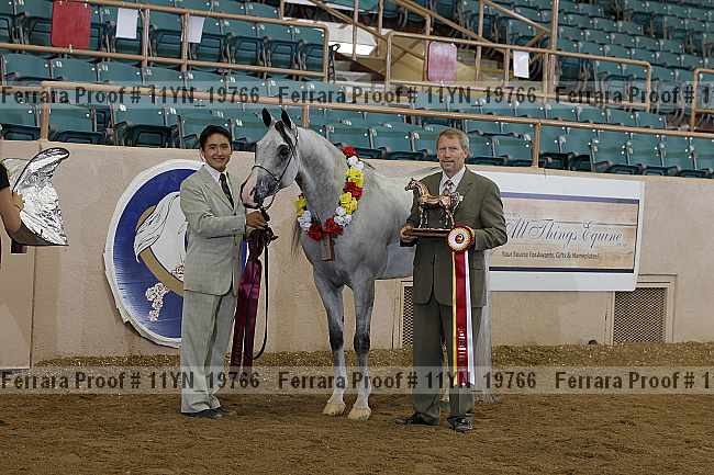 Proof 11yn_19766
