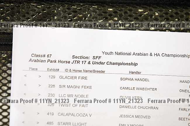 Proof 11yn_21323