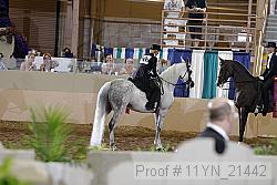 11yn_21442 proof