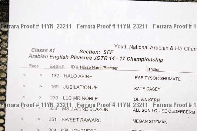Proof 11yn_23211