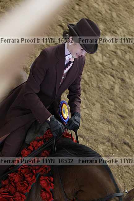 Proof 11yn_16532