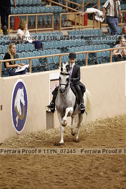 Proof 11yn_07245