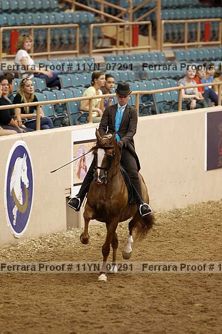 Proof 11yn_07291