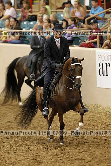 Proof 11yn_07309