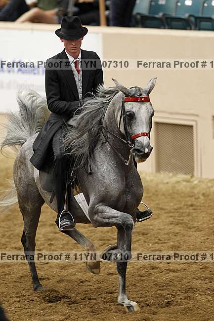 Proof 11yn_07310