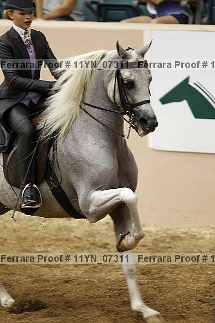 Proof 11yn_07311