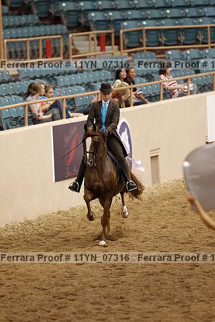 Proof 11yn_07316