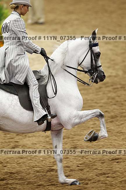 Proof 11yn_07355