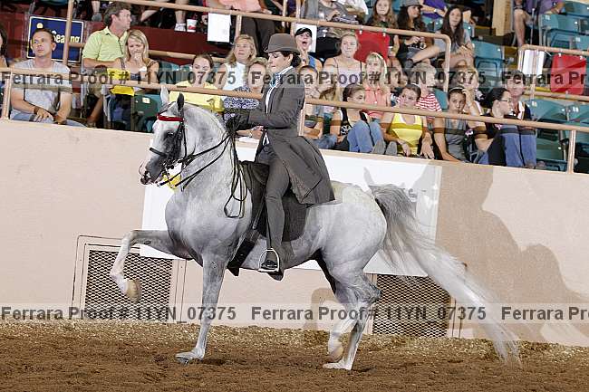 Proof 11yn_07375