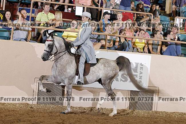 Proof 11yn_07378