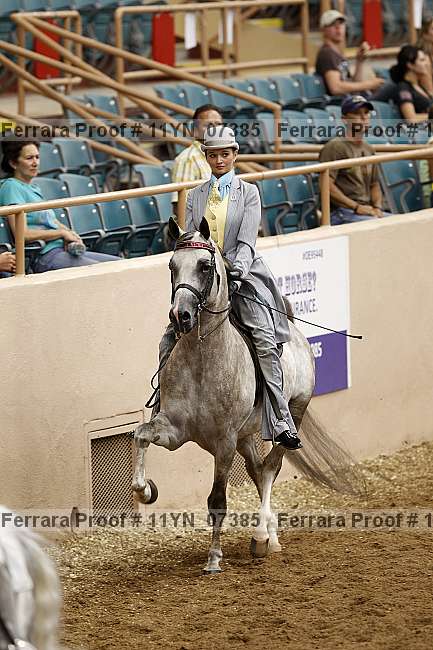 Proof 11yn_07385
