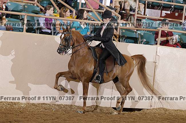 Proof 11yn_07387