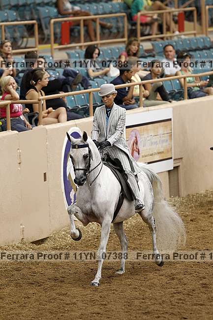Proof 11yn_07388