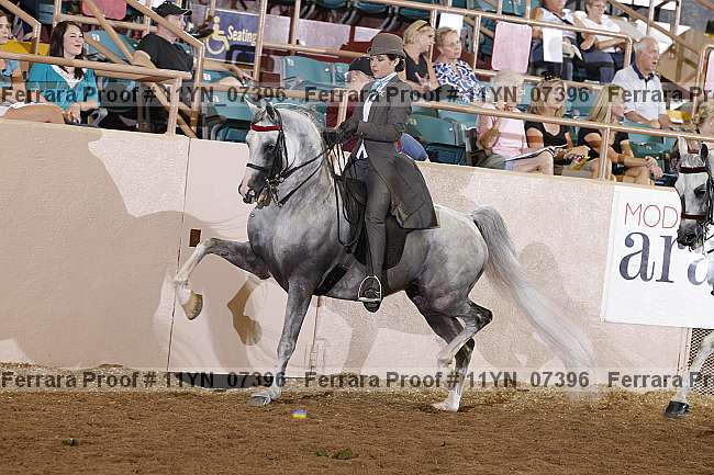 Proof 11yn_07396