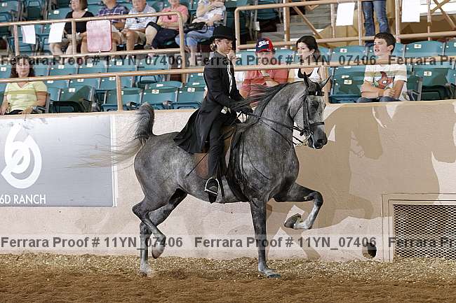 Proof 11yn_07406