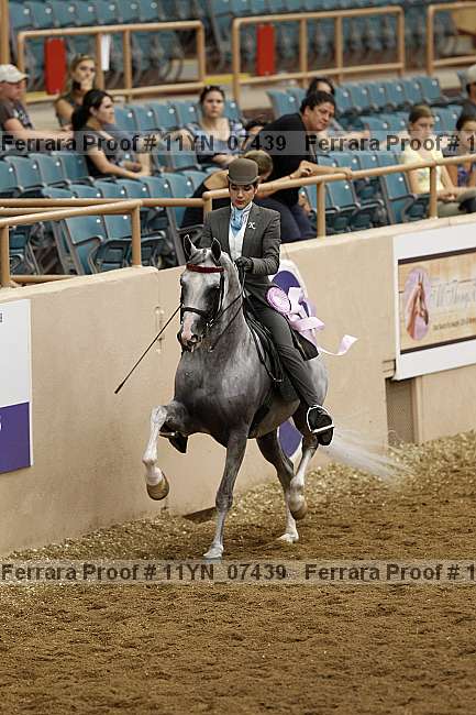 Proof 11yn_07439