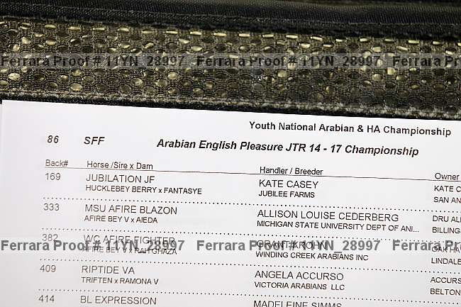 Proof 11yn_28997