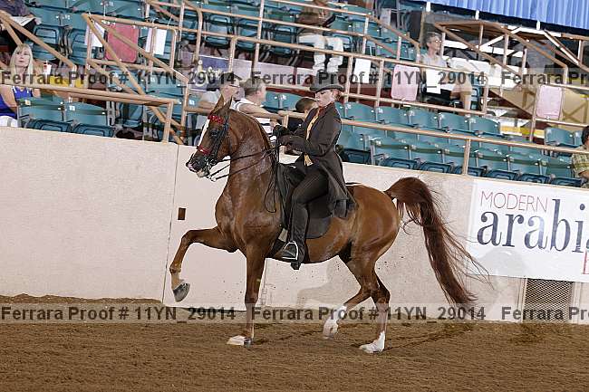 Proof 11yn_29014