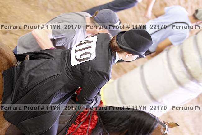 Proof 11yn_29170