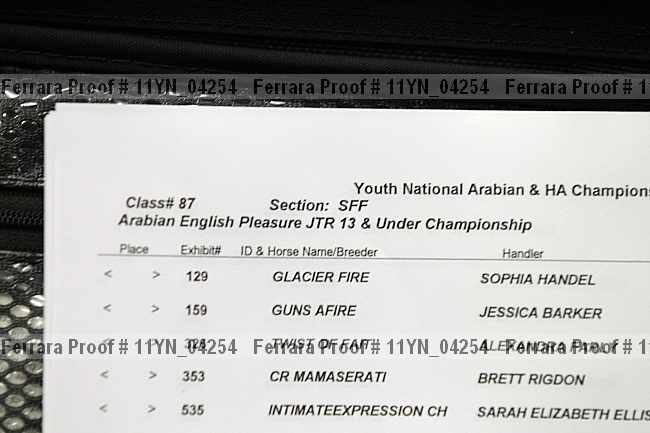 Proof 11yn_04254