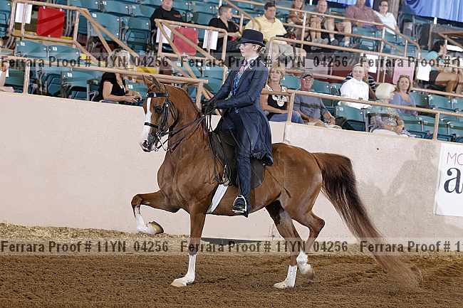 Proof 11yn_04256