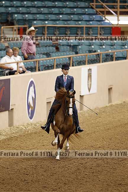 Proof 11yn_04257