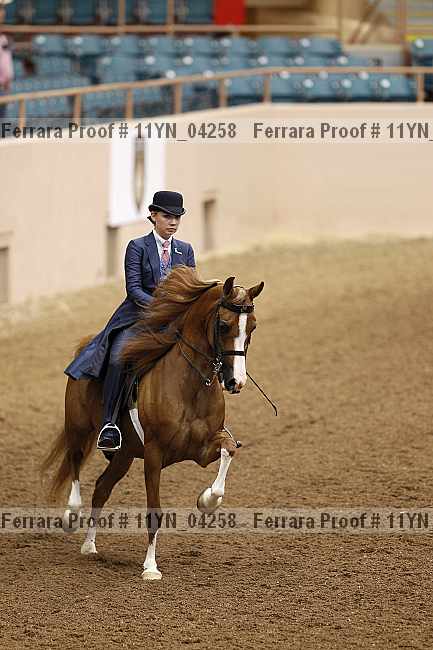 Proof 11yn_04258