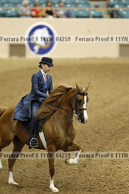 Proof 11yn_04259