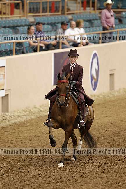Proof 11yn_04264