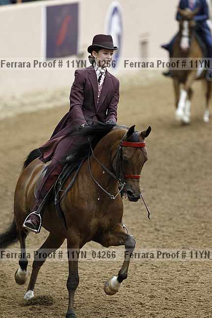 Proof 11yn_04266