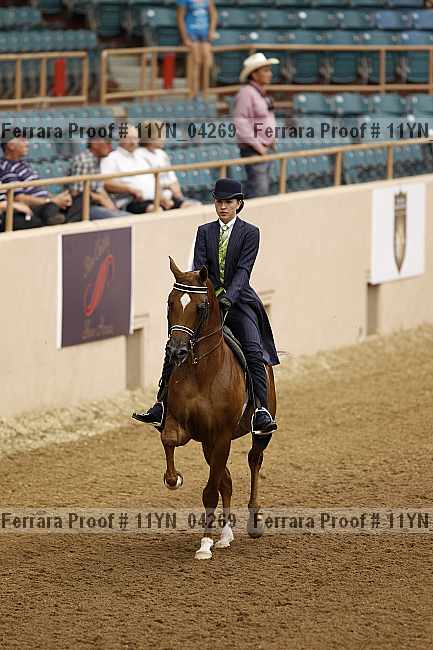Proof 11yn_04269