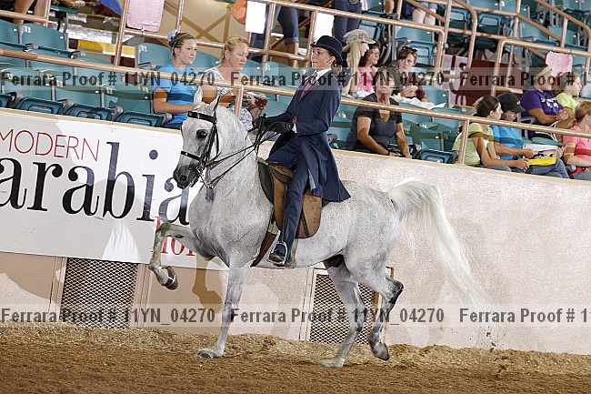 Proof 11yn_04270