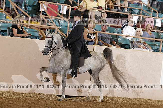 Proof 11yn_04271