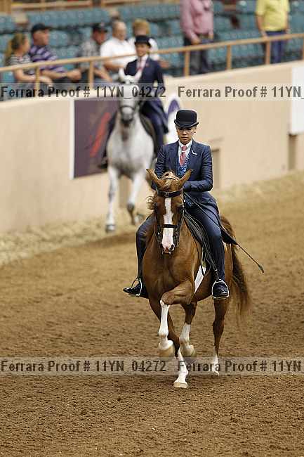 Proof 11yn_04272