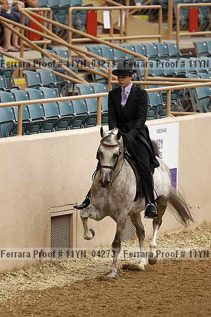 Proof 11yn_04273