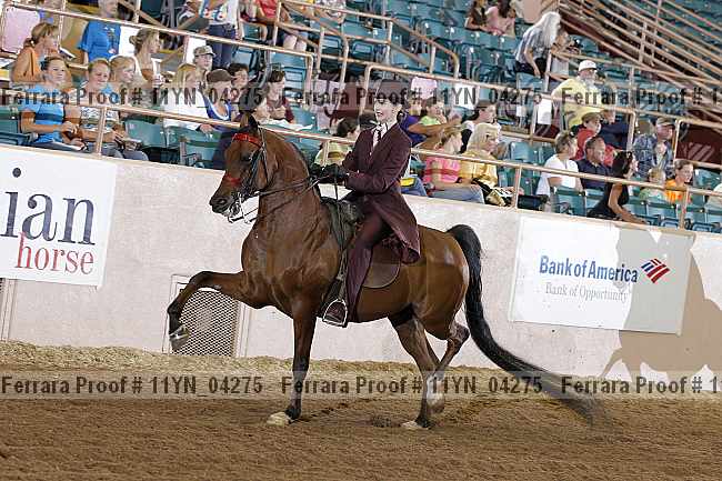 Proof 11yn_04275