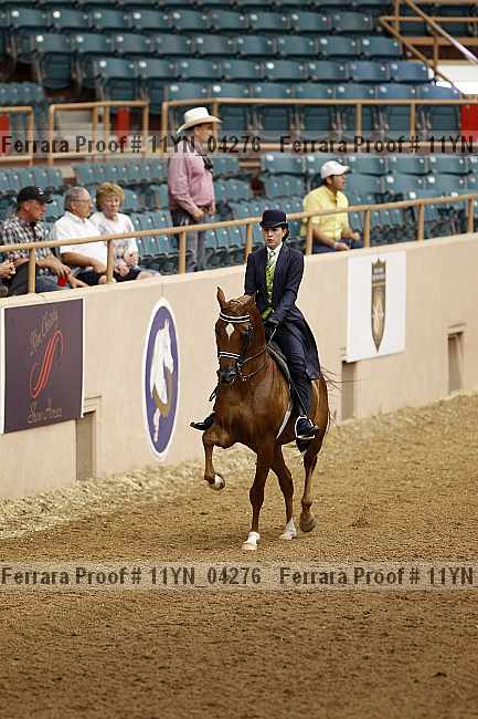 Proof 11yn_04276