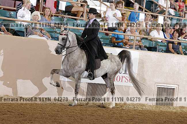 Proof 11yn_04279