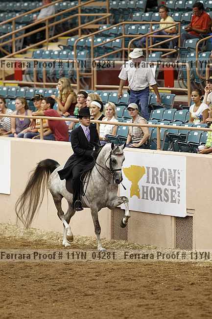Proof 11yn_04281