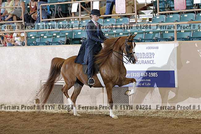 Proof 11yn_04284
