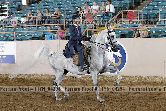 Proof 11yn_04294