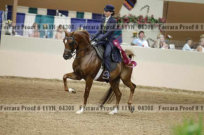 Proof 11yn_04308