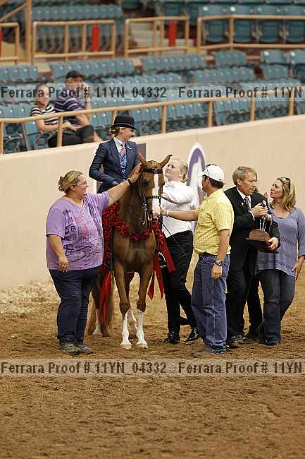 Proof 11yn_04332