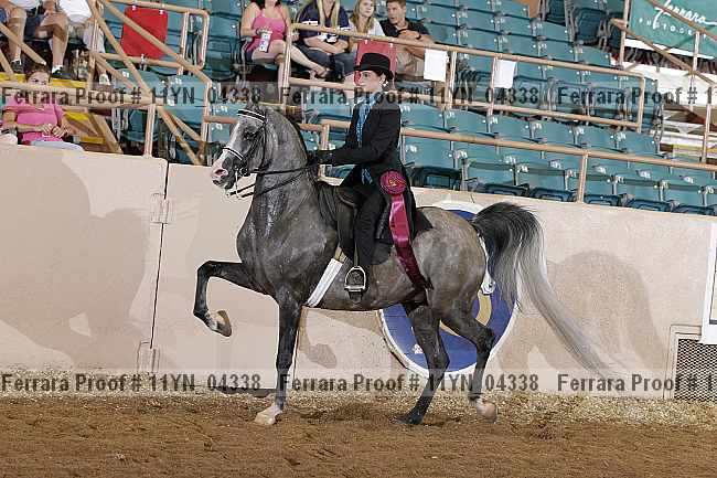 Proof 11yn_04338
