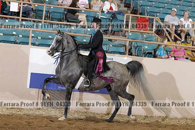 Proof 11yn_04339