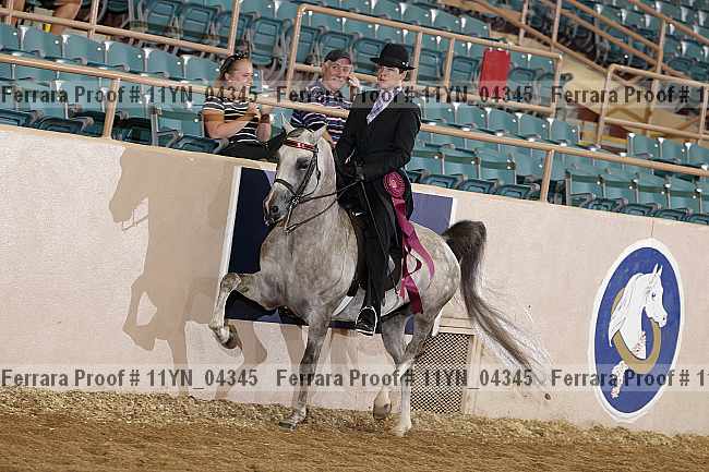 Proof 11yn_04345
