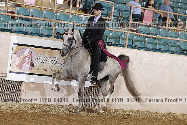 Proof 11yn_04346