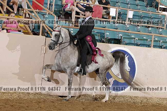 Proof 11yn_04347